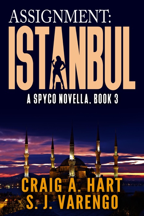 Assignment: Istanbul