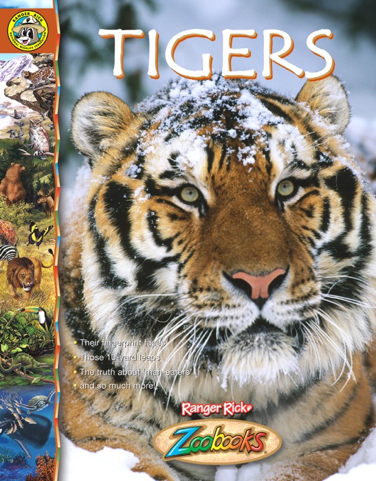 Zoobooks Tigers