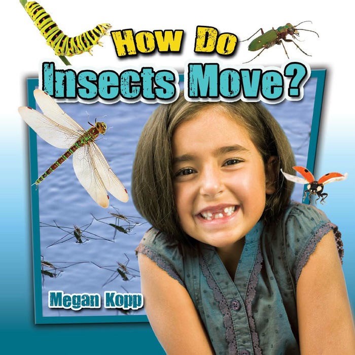 How Do Insects Move?