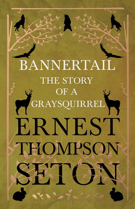 Bannertail - The Story of a Gray Squirrel