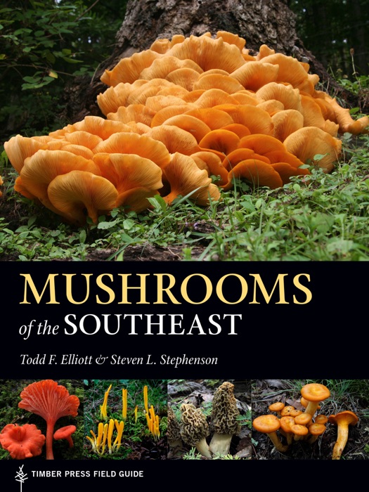 Mushrooms of the Southeast