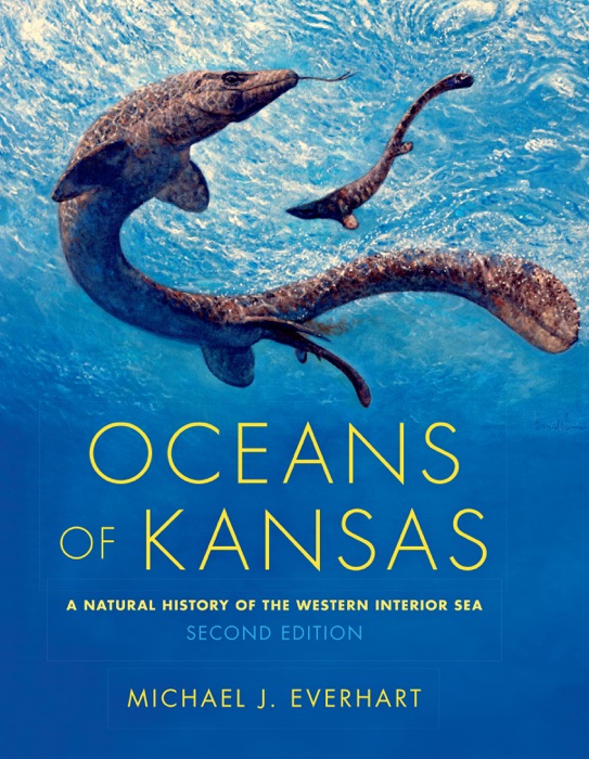 Oceans of Kansas, Second Edition