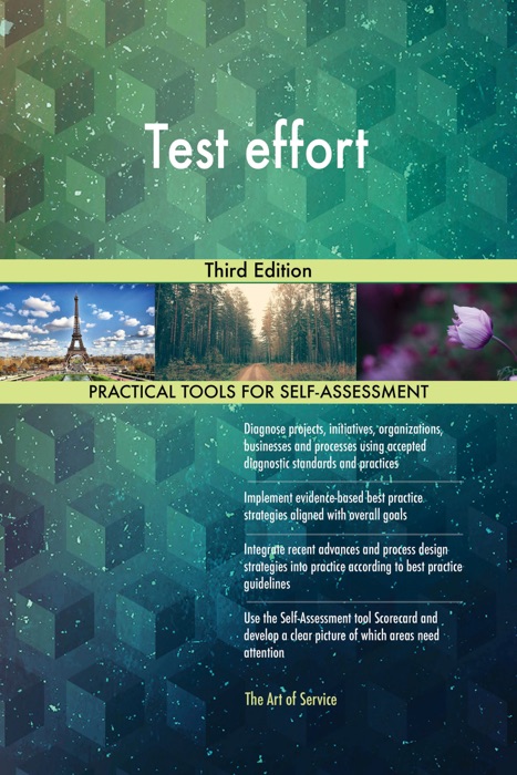 Test effort Third Edition