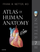 Atlas of Human Anatomy - Frank H. Netter, M.D.