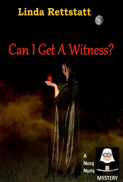 Can I Get a Witness?: A Nosy Nuns Mystery (Volume 2)