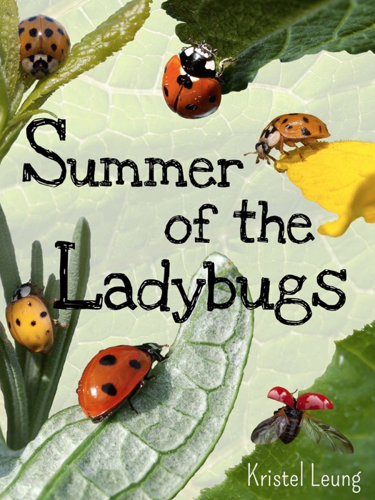 Summer of the Ladybugs