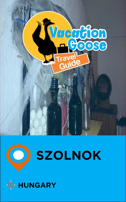 Vacation Goose Travel Guide Szolnok Hungary