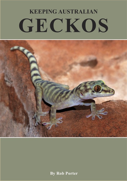 Keeping Australian Geckos