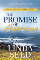Linda Seed - The Promise of Lightning artwork