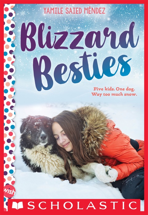 Blizzard Besties: A Wish Novel