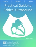 Practical Guide to Critical Ultrasound, Volume 1