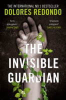 The Invisible Guardian ebook Download