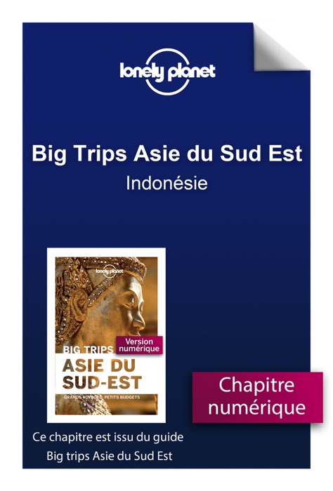 Big Trips Asie du Sud-Est - Indonésie