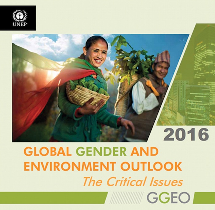 Global Gender and Environment Outlook 2016: The Critical Issues