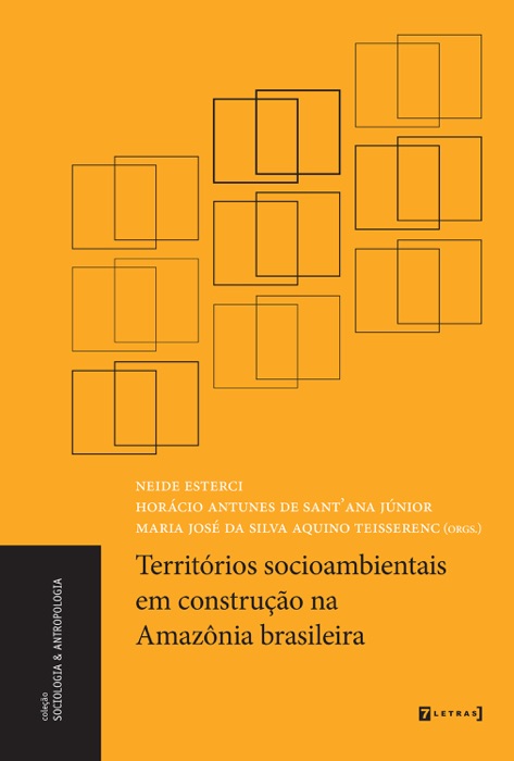 Territórios socioambientais em construção na Amazônia brasileira