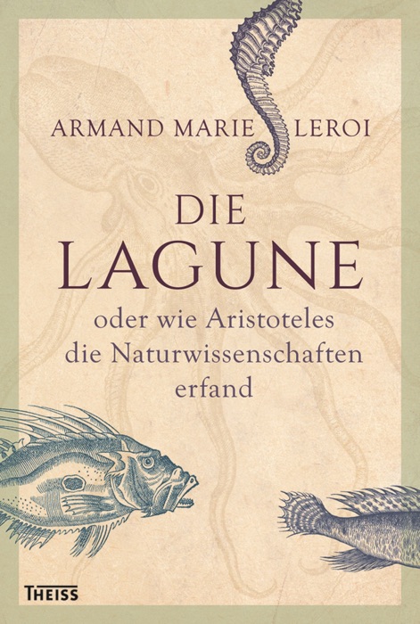 Die Lagune