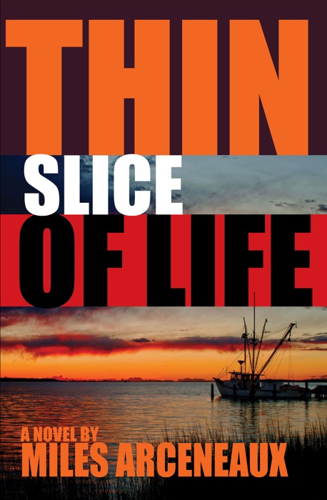 Thin Slice of Life