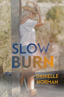 Danielle Norman - Slow Burn artwork