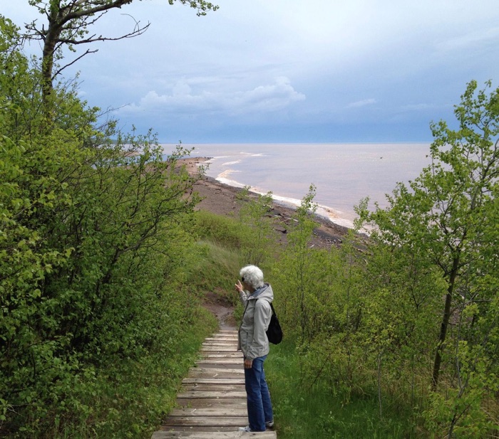To the Lake and Selected Poems