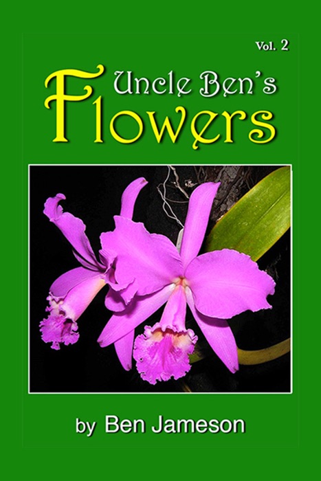 Uncle Ben's Flowers, Vol. 2