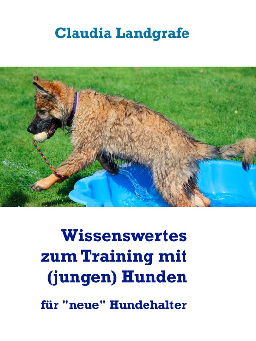 Wissenswertes zum Training mit (jungen) Hunden