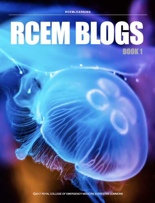 RCEMLearning Blogs Book 1