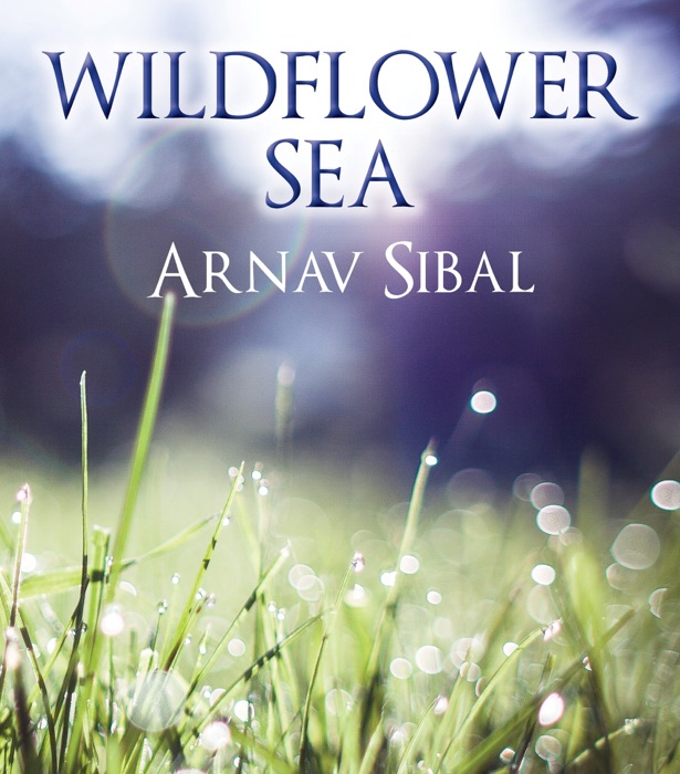 Wildflower Sea