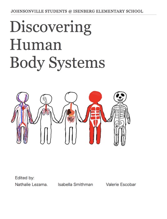 Discovering Human Body Systems