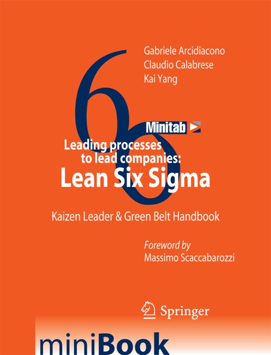 Leading processes to lead companies: Lean Six Sigma