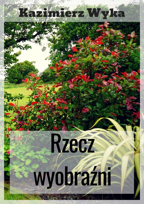 Rzecz wyobraźni