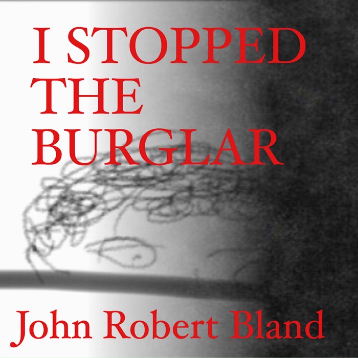 I Stopped the Burglar