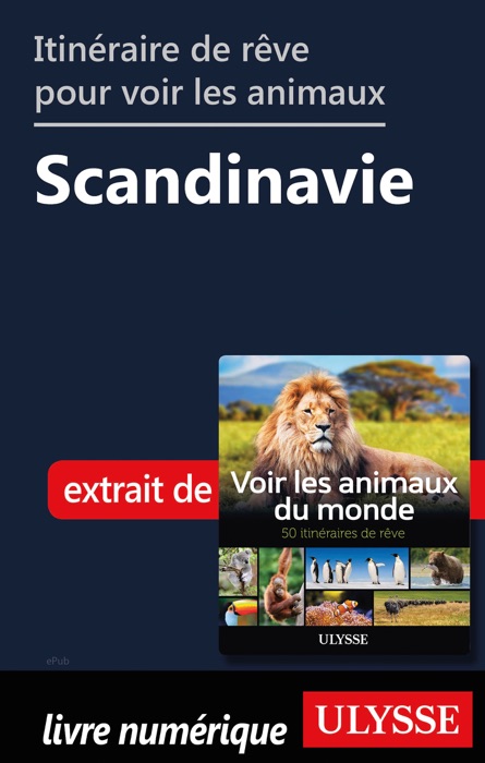 Itinéraire de rêve pour voir les animaux -  Scandinavie