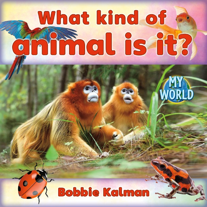 What Kind of Animal Is It?