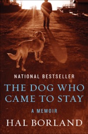 The Dog Who Came to Stay
