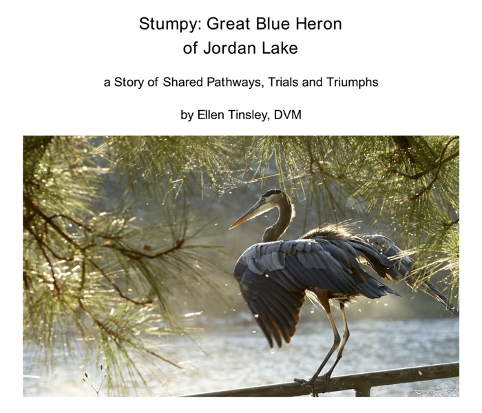 Stumpy: Great Blue Heron of Jordan Lake