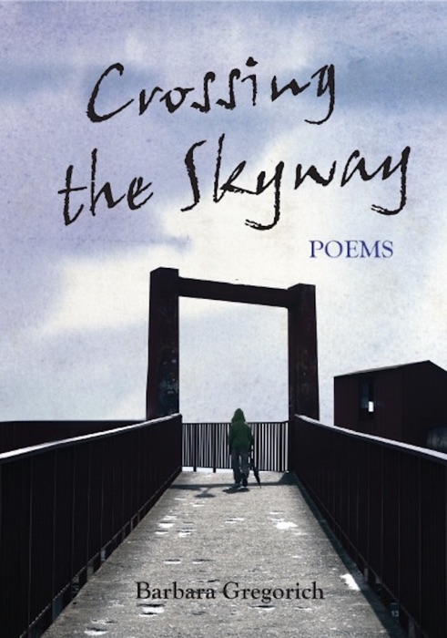 Crossing the Skyway