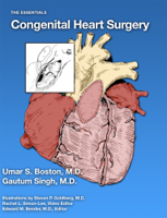 Umar Boston, MD & Gautum Singh, MD - Congenital Heart Surgery artwork