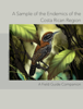 A Small Sample of the Endemic Birds of the Costa Rican Region - Noel Ureña Chacón