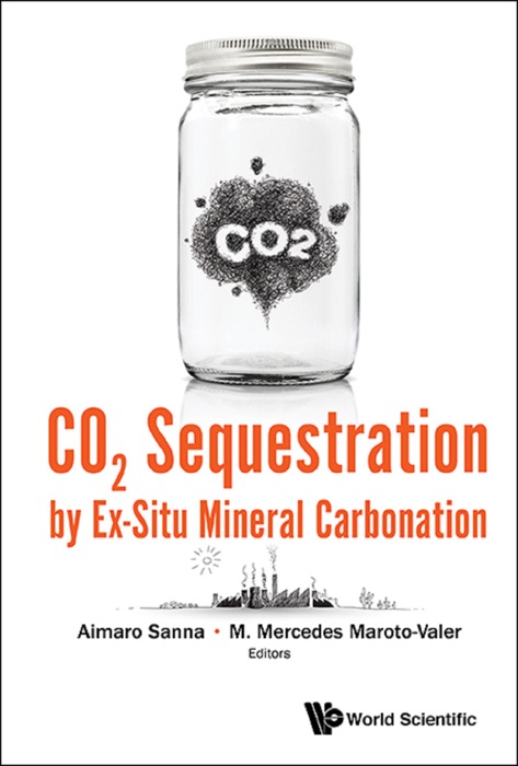 CO2 Sequestration by Ex-Situ Mineral Carbonation