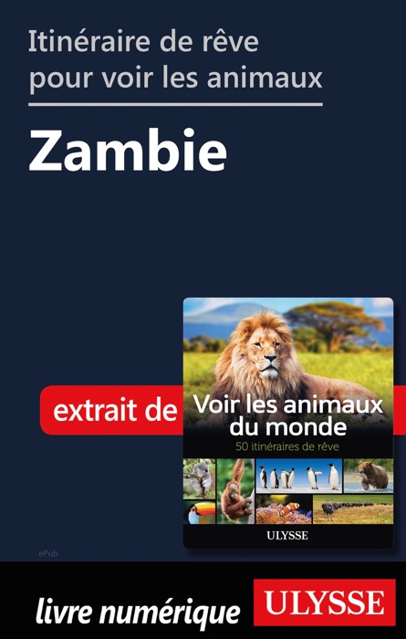 Itinéraire de rêve pour voir les animaux -  Zambie