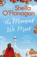 Sheila O'Flanagan - The Moment We Meet artwork