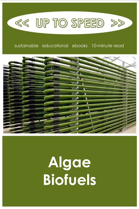 Algae Biofuels