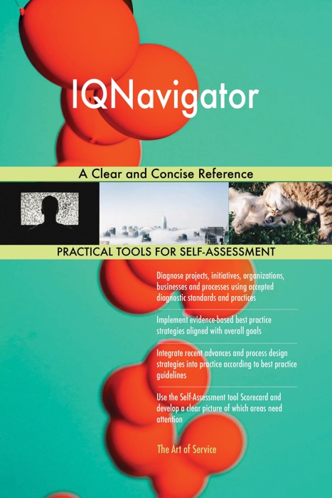 IQNavigator A Clear and Concise Reference