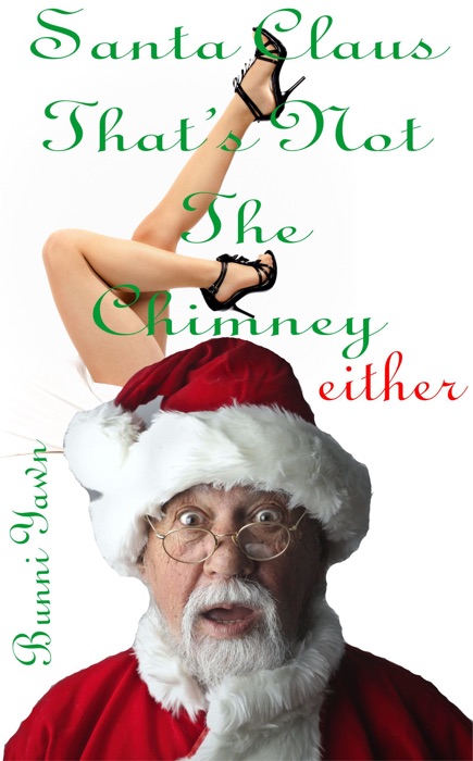 DOWNLOAD ~ Santa Claus That's Not The Chimney Either ~ by Bunni Yawn ~ Book PDF Kindle ePub Free