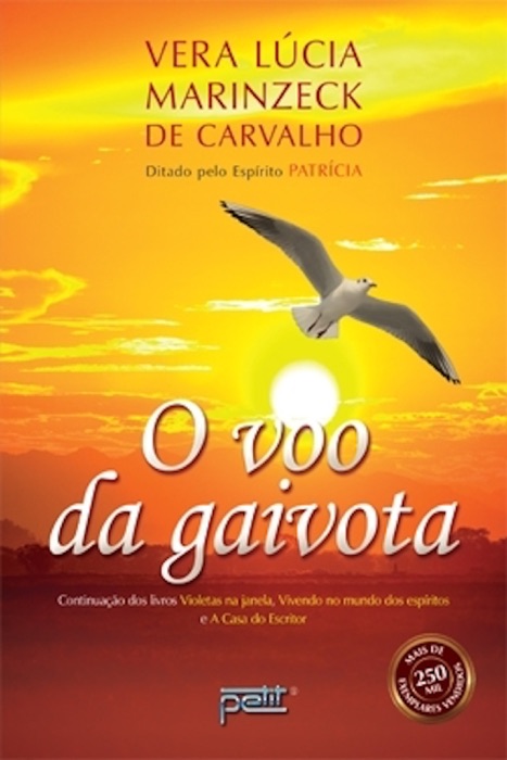 O voo da gaivota