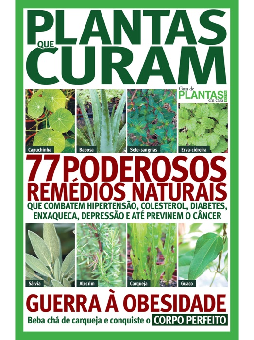 Guia de Plantas em Casa 02 – Plantas que Curam