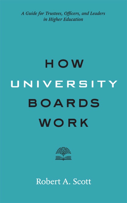 How University Boards Work