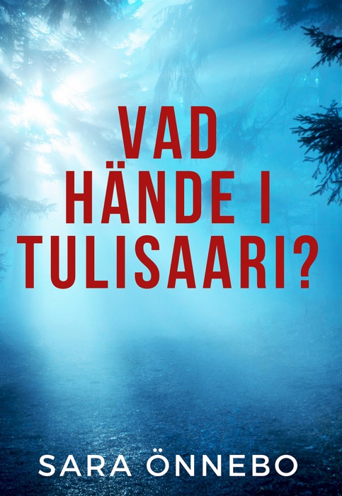 Vad hände i Tulisaari?