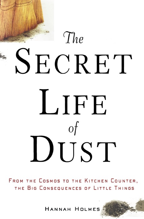 The Secret Life of Dust