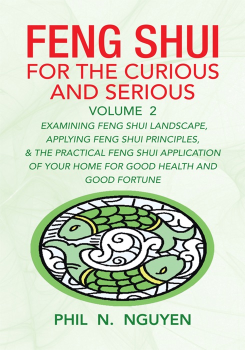 Feng Shui For The Curious And Serious Volume 2